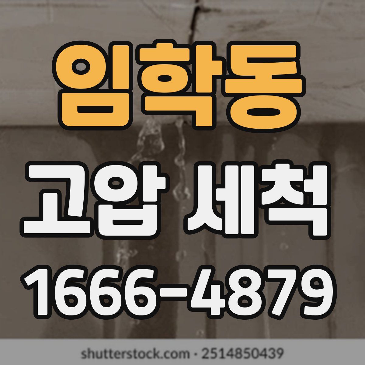 임학동 고압 세척