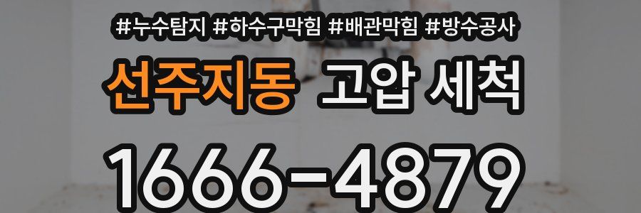 선주지동 고압 세척