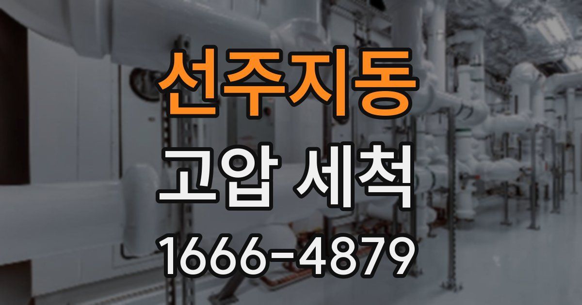 선주지동 고압 세척