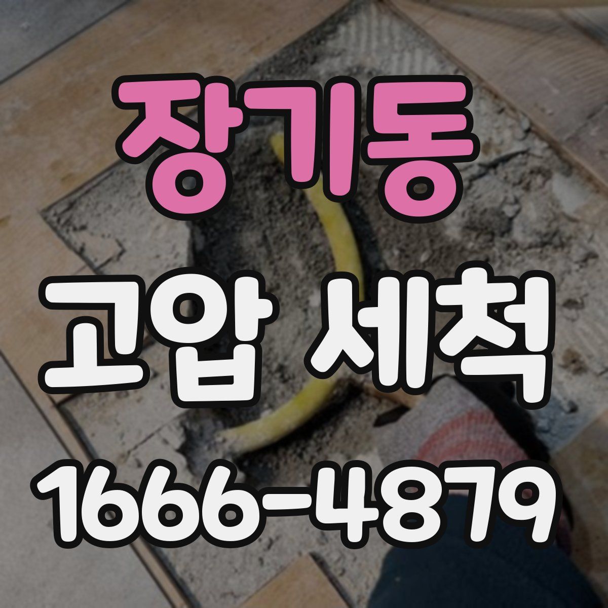 장기동 고압 세척