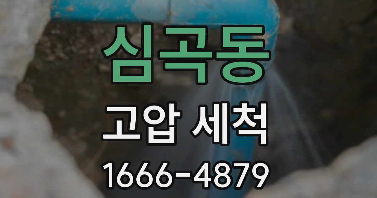 심곡동 고압 세척
