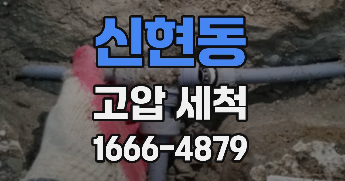 신현동 고압 세척