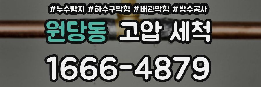 원당동 고압 세척