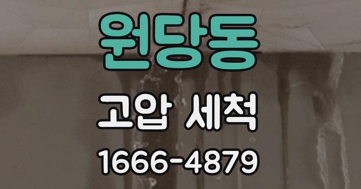 원당동 고압 세척
