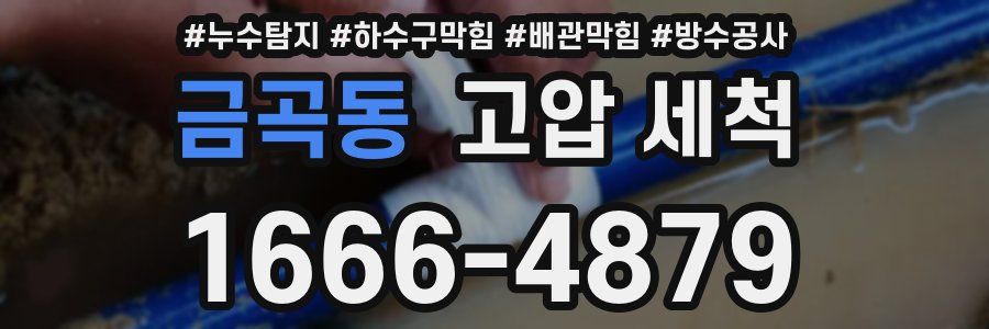 금곡동 고압 세척