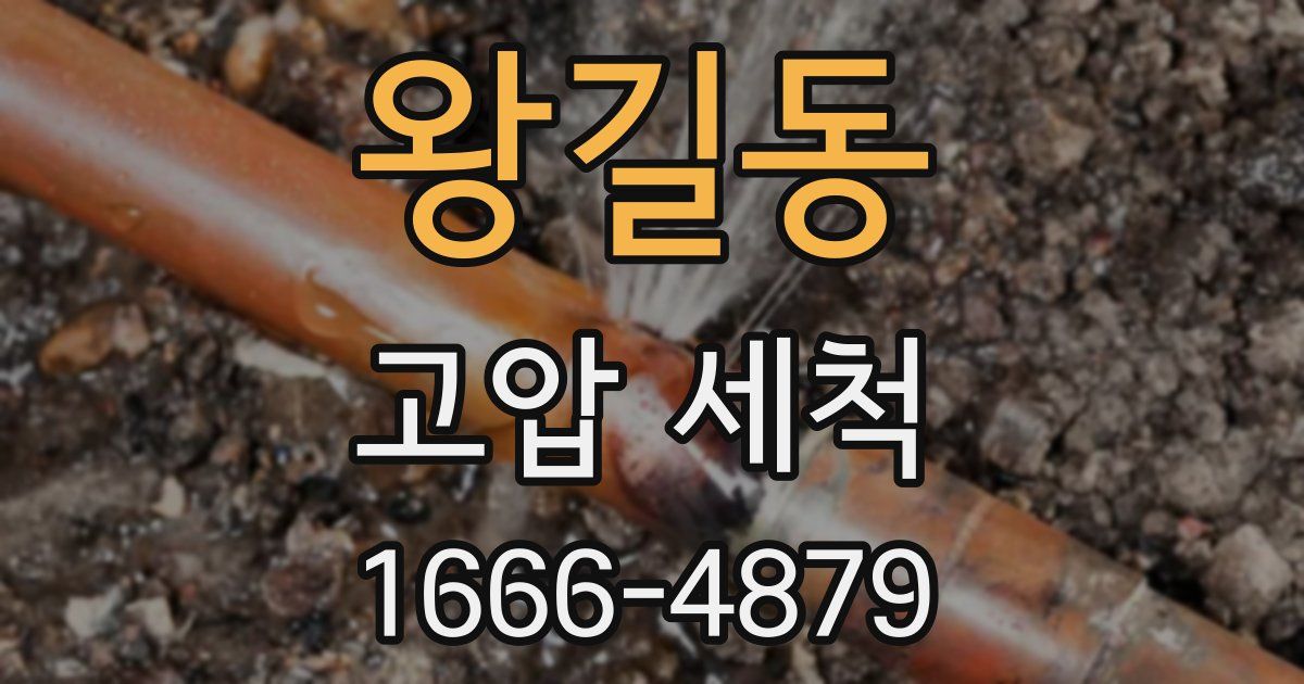 왕길동 고압 세척