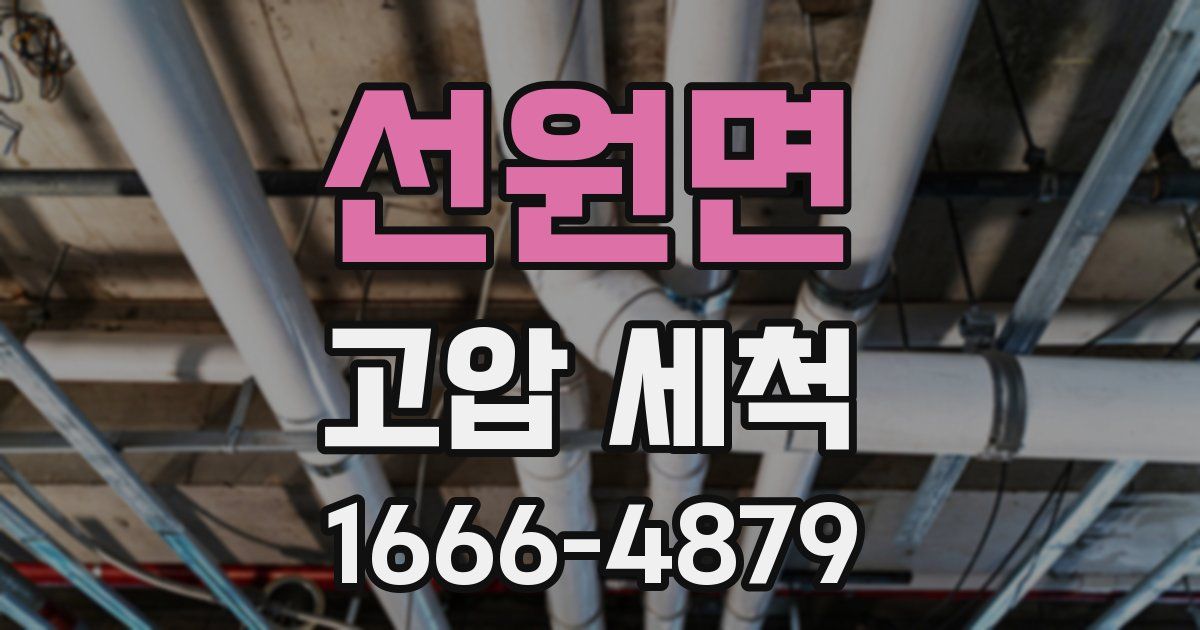 선원면 고압 세척