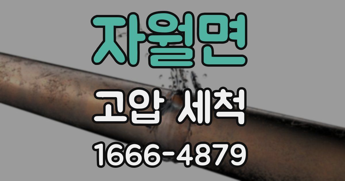 자월면 고압 세척