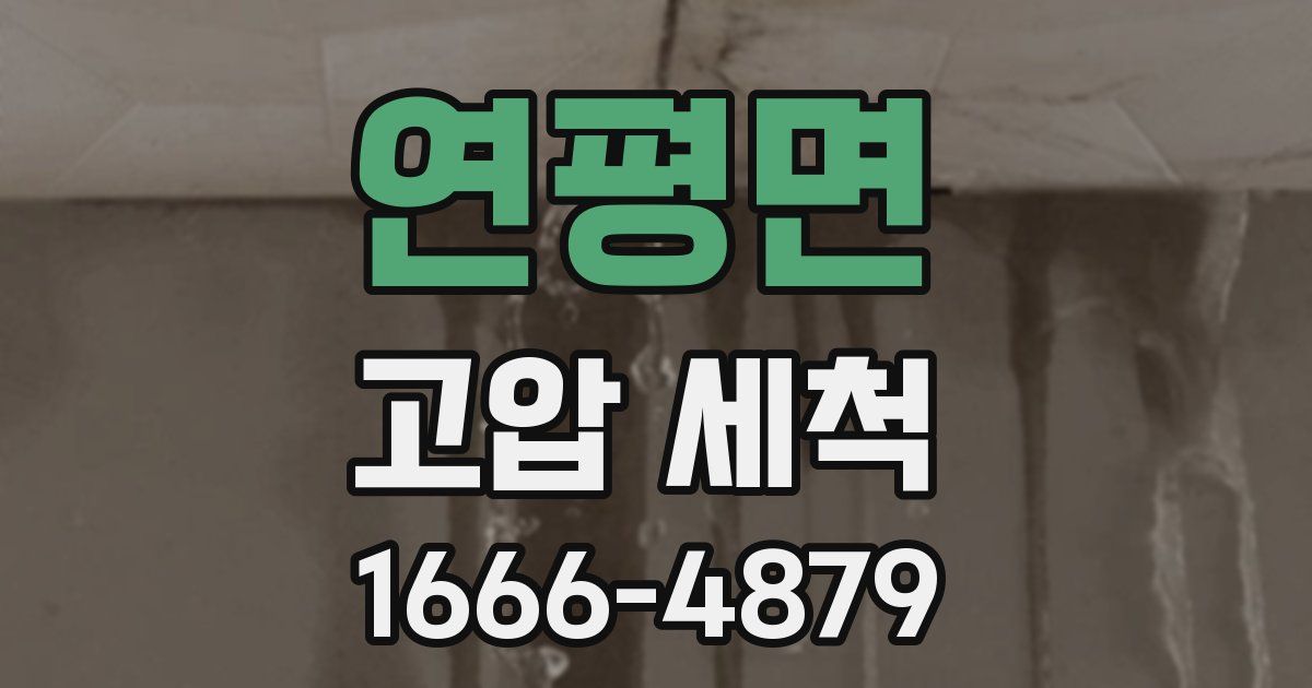 연평면 고압 세척