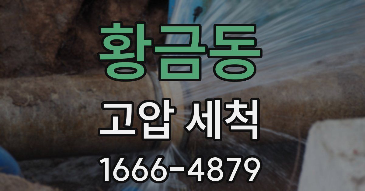 황금동 고압 세척