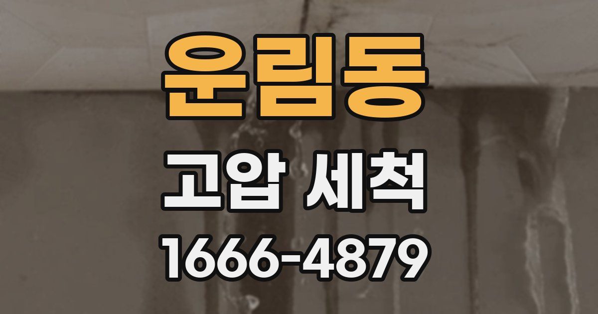 운림동 고압 세척