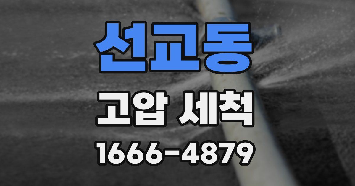 선교동 고압 세척