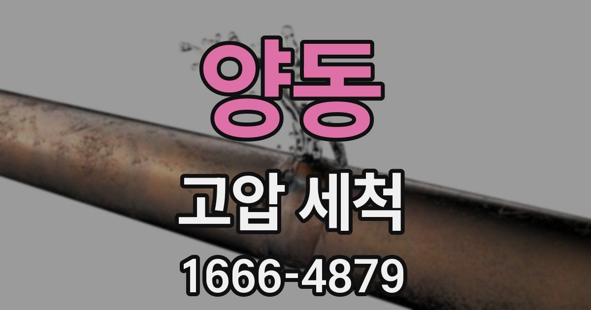 양동 고압 세척