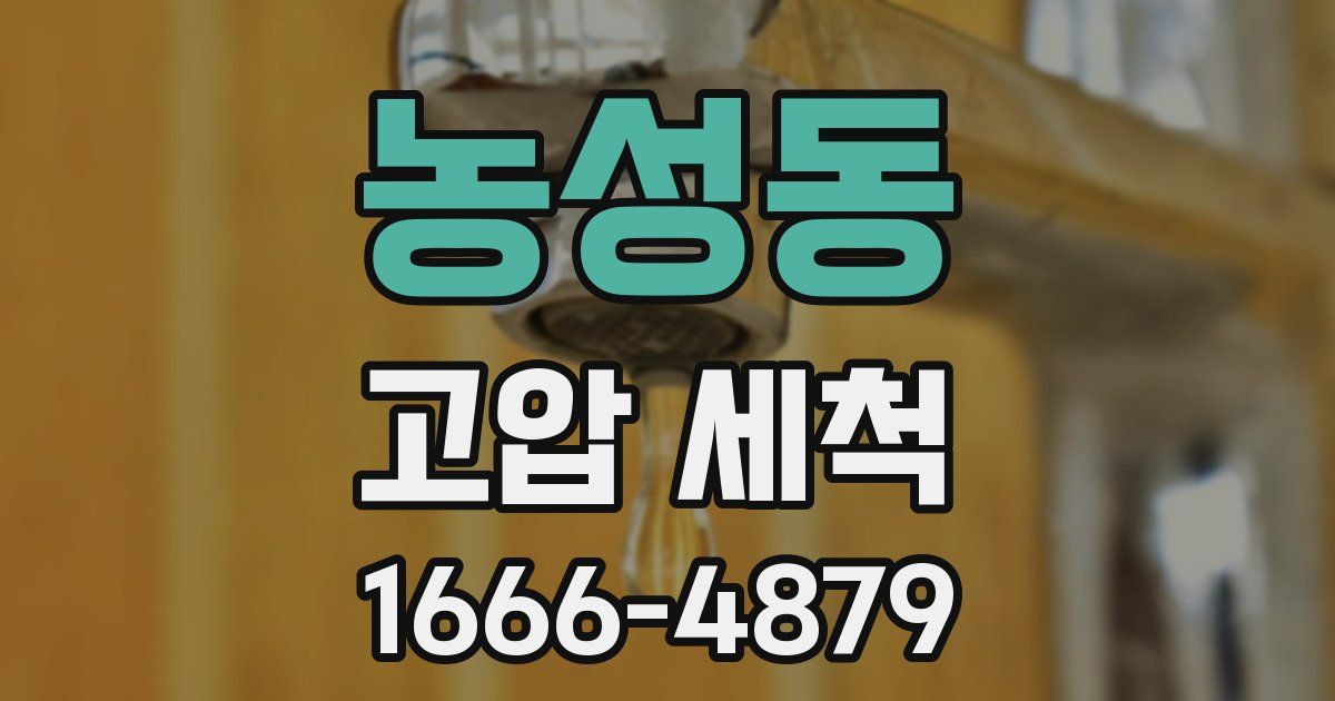 농성동 고압 세척
