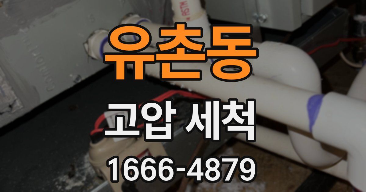유촌동 고압 세척