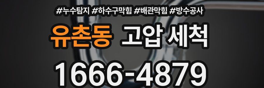 유촌동 고압 세척