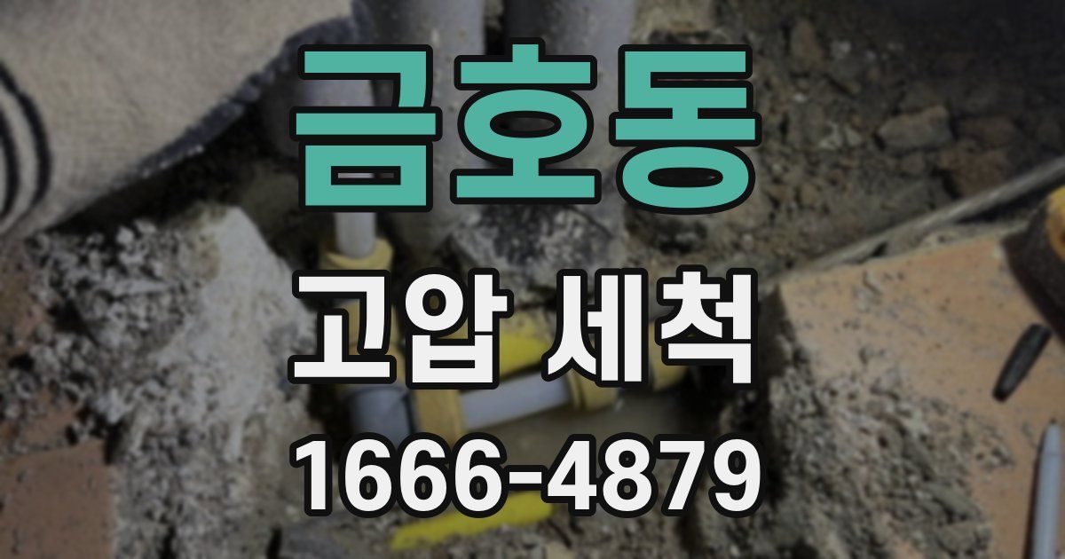 금호동 고압 세척