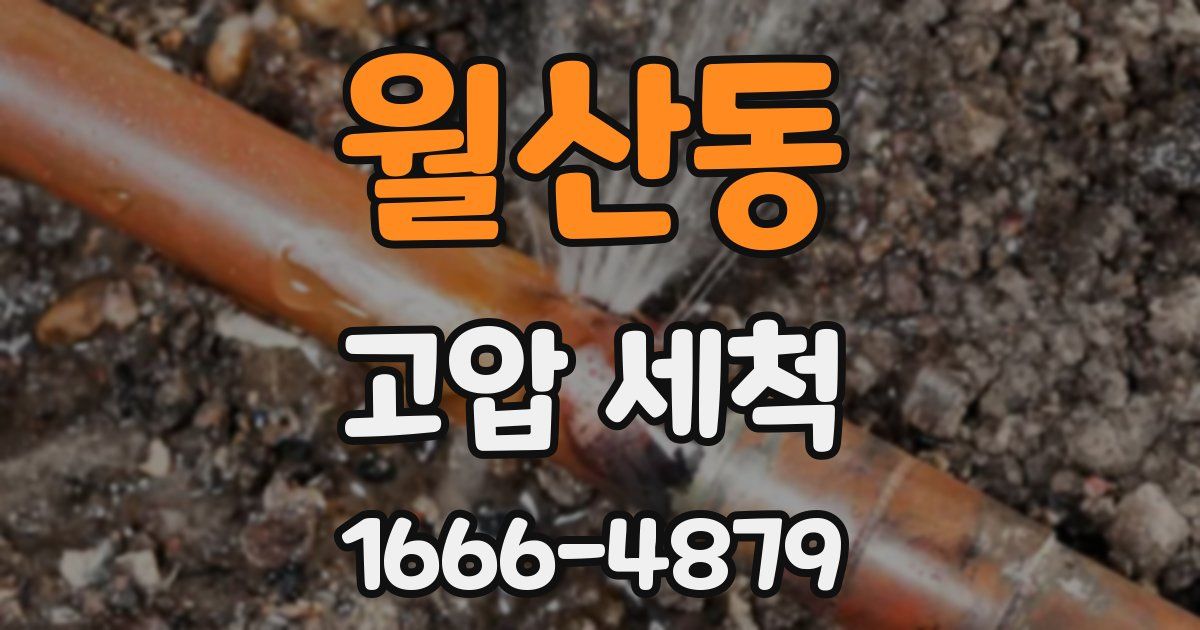 월산동 고압 세척