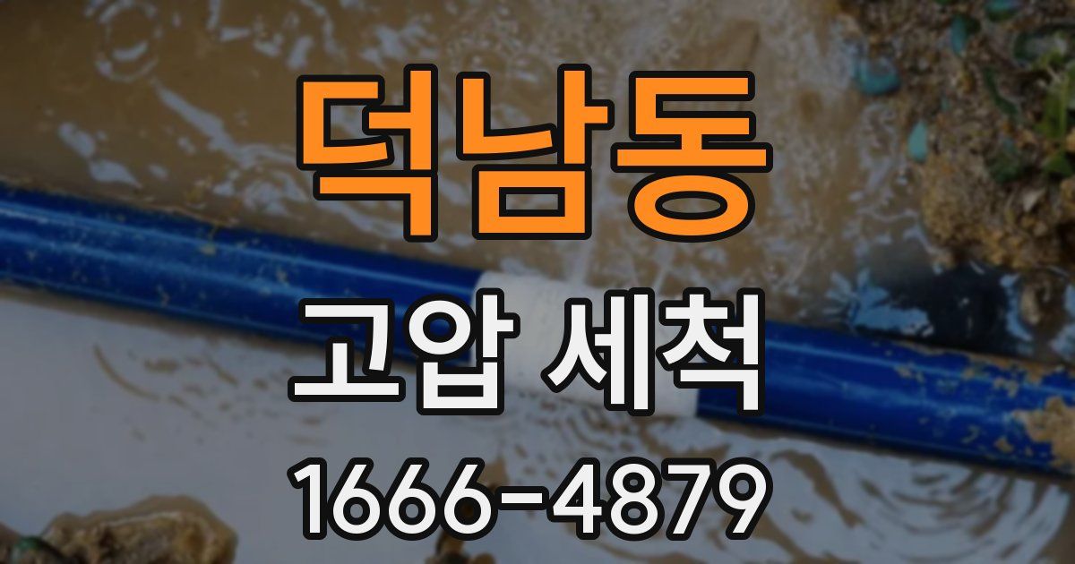 덕남동 고압 세척