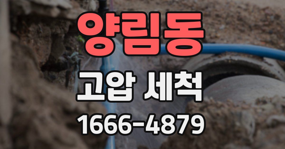 양림동 고압 세척