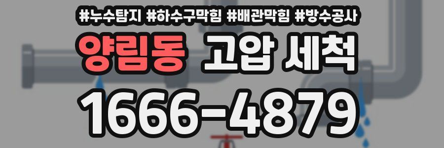 양림동 고압 세척