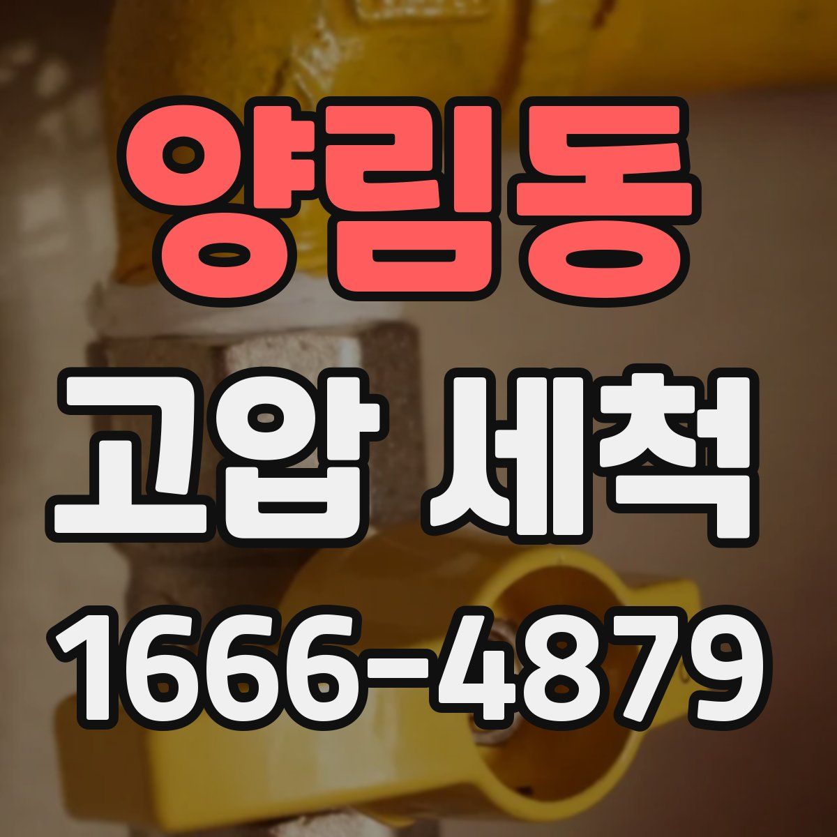 양림동 고압 세척