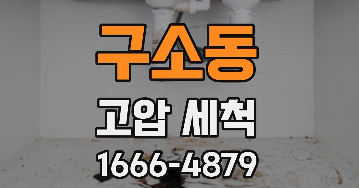 구소동 고압 세척