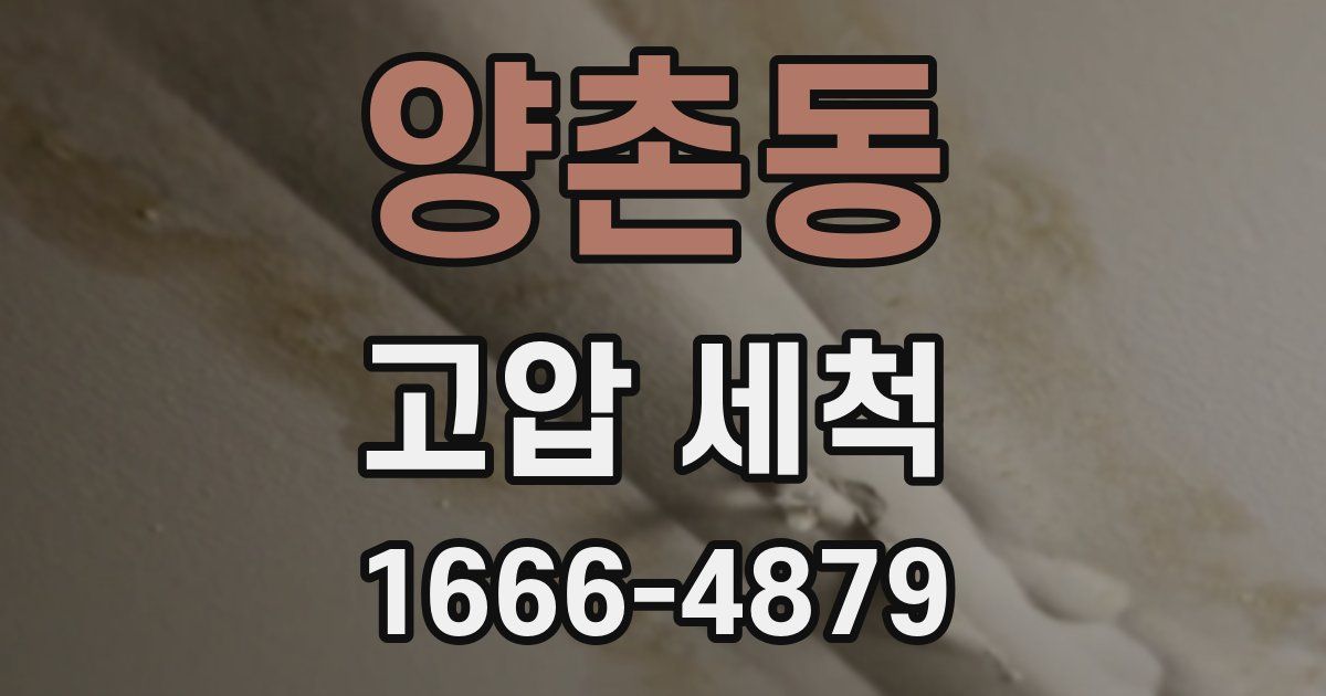 양촌동 고압 세척