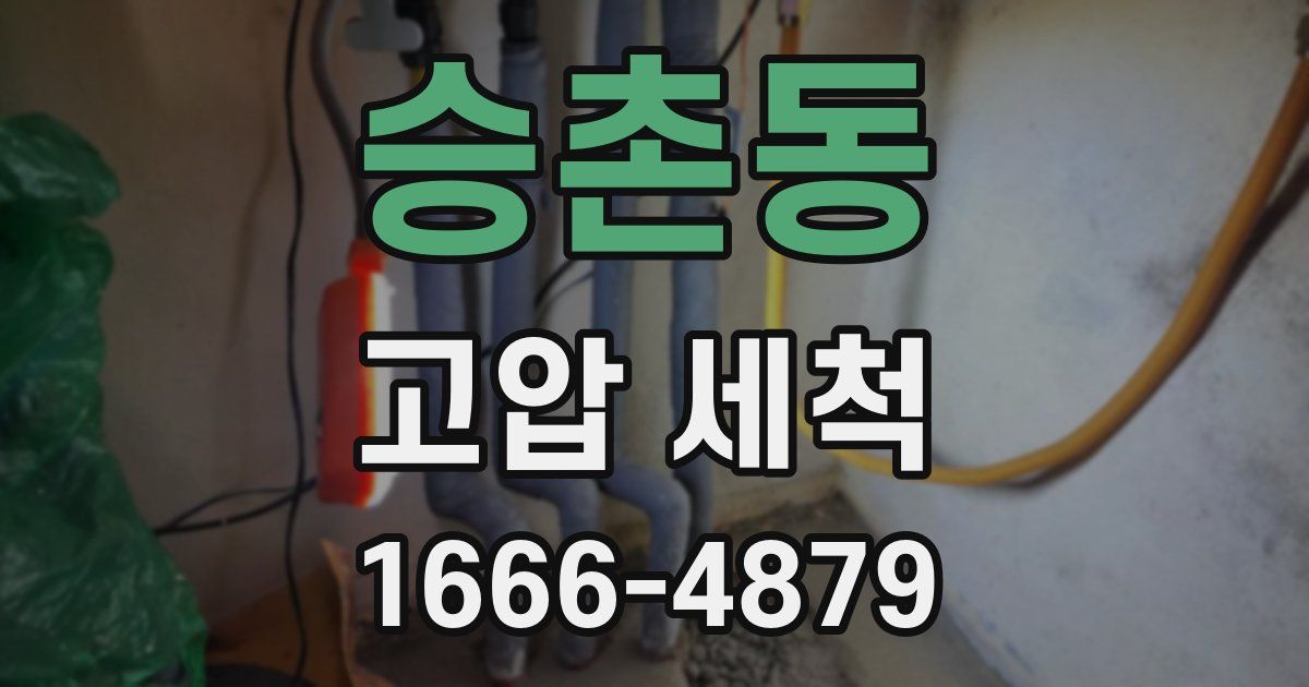 승촌동 고압 세척
