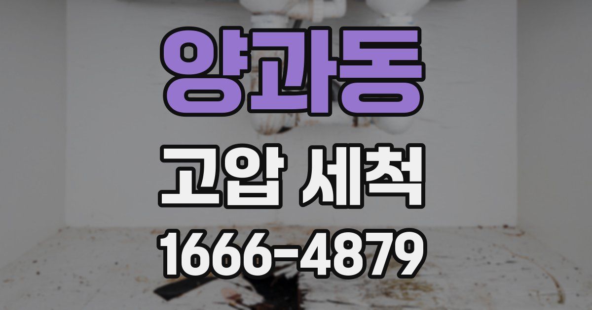 양과동 고압 세척