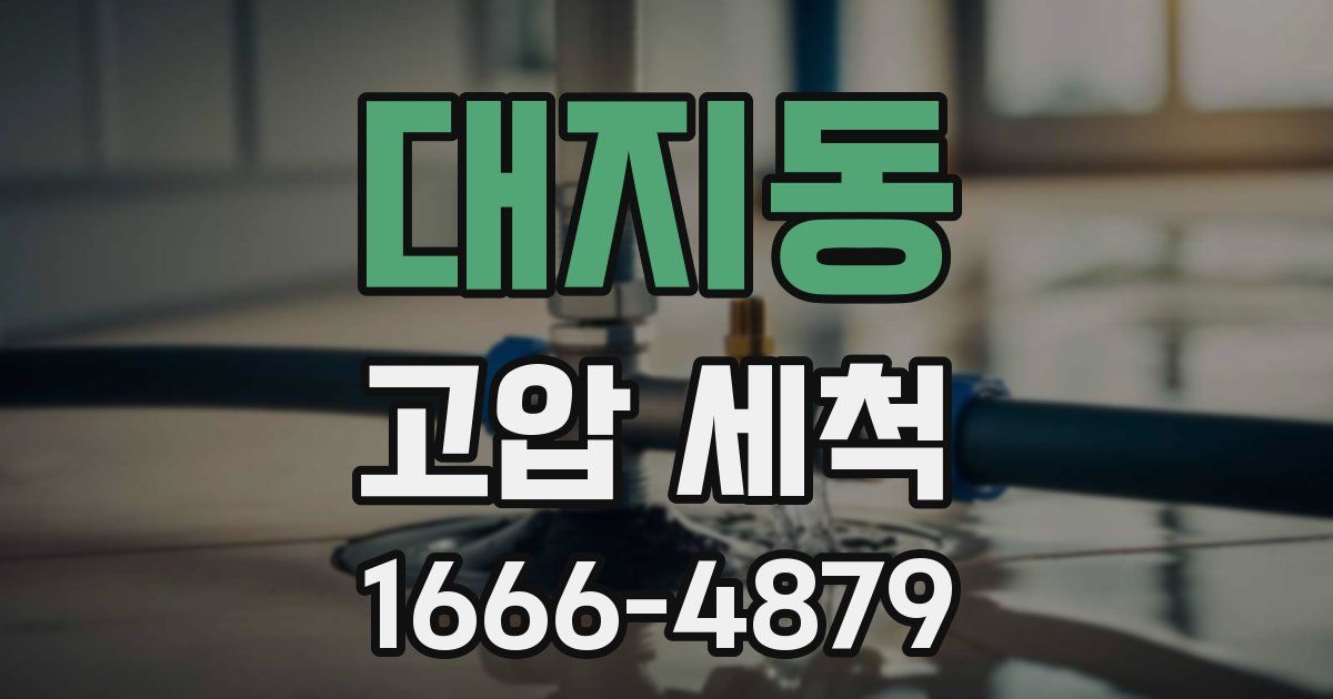 대지동 고압 세척