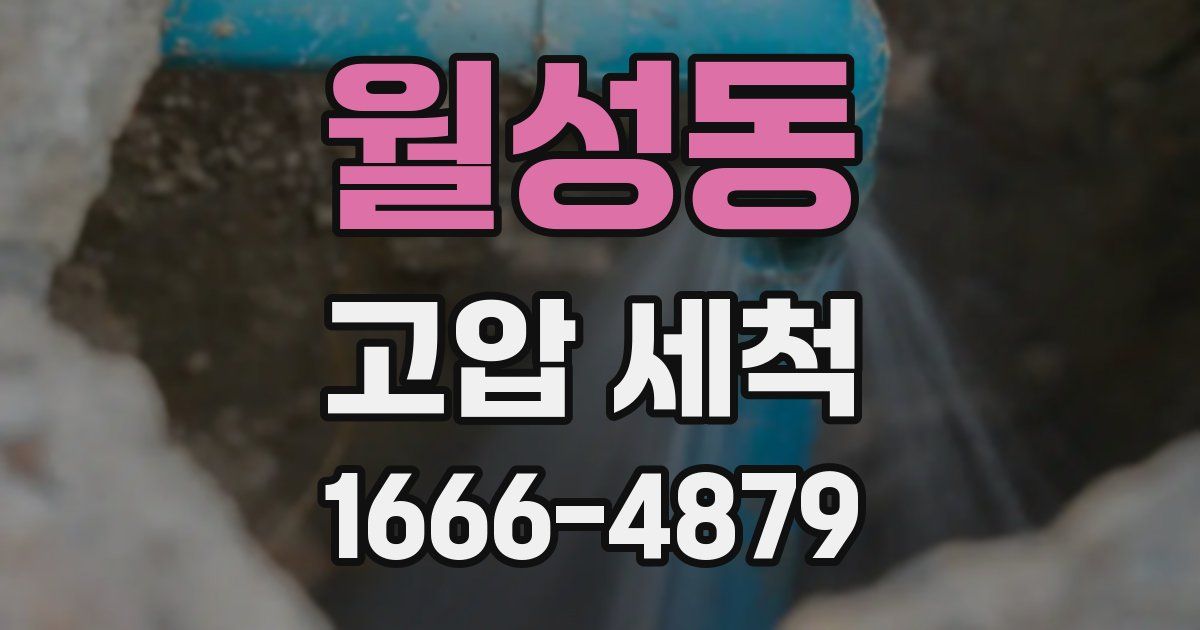 월성동 고압 세척