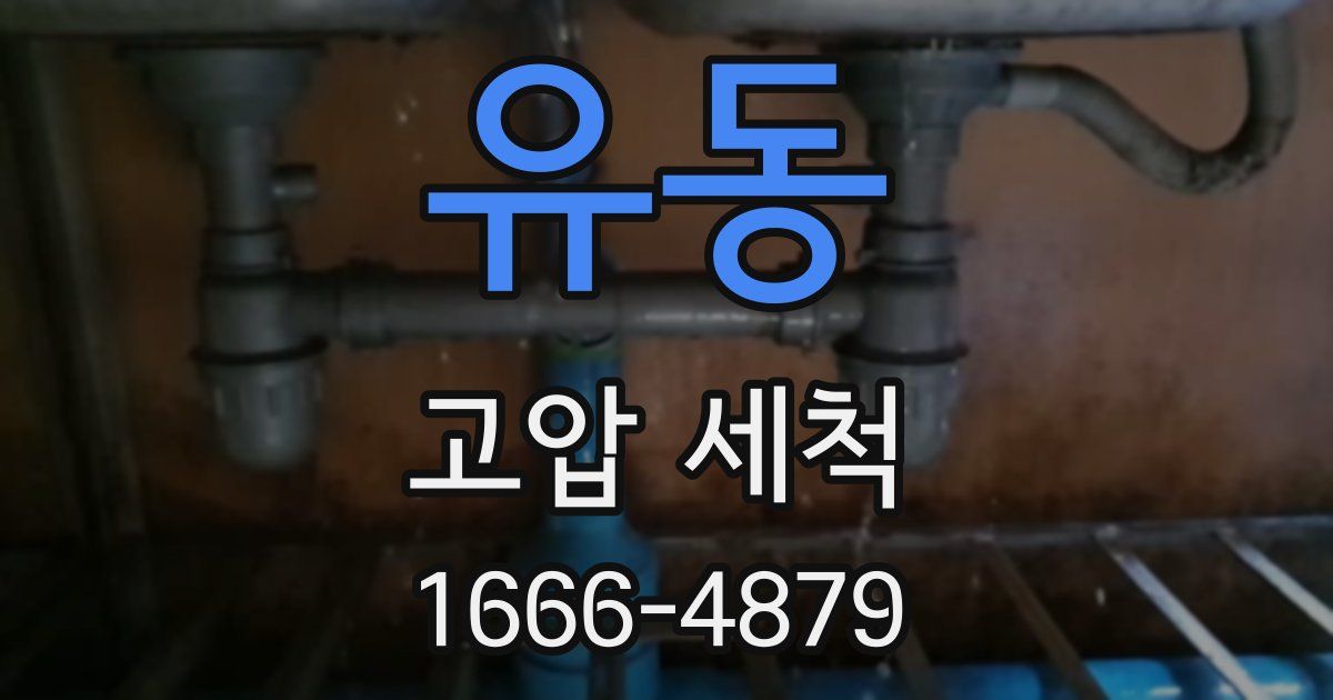 유동 고압 세척