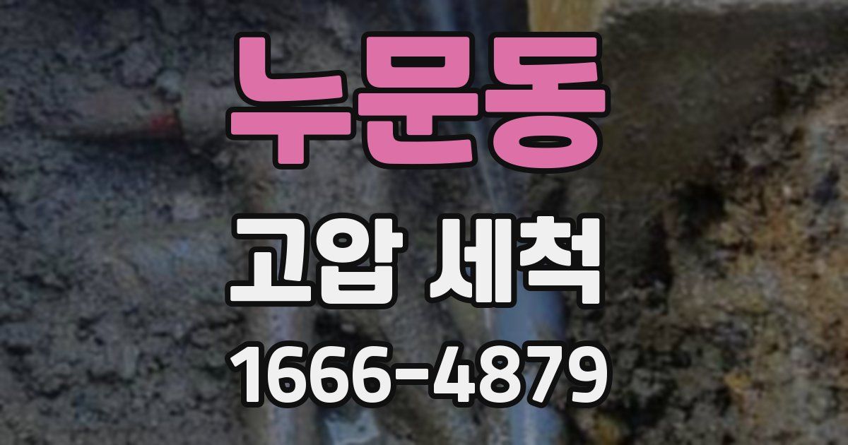 누문동 고압 세척
