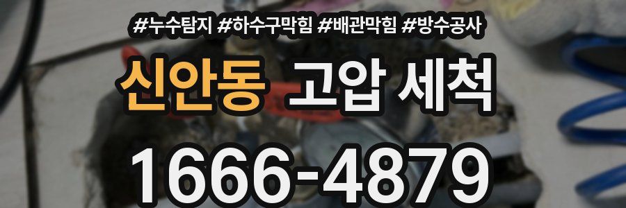 신안동 고압 세척