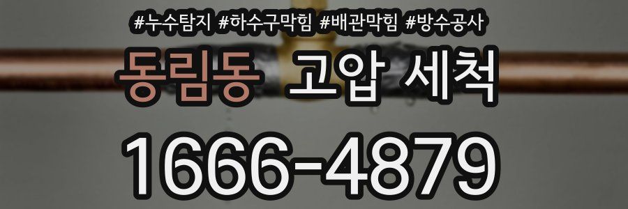 동림동 고압 세척