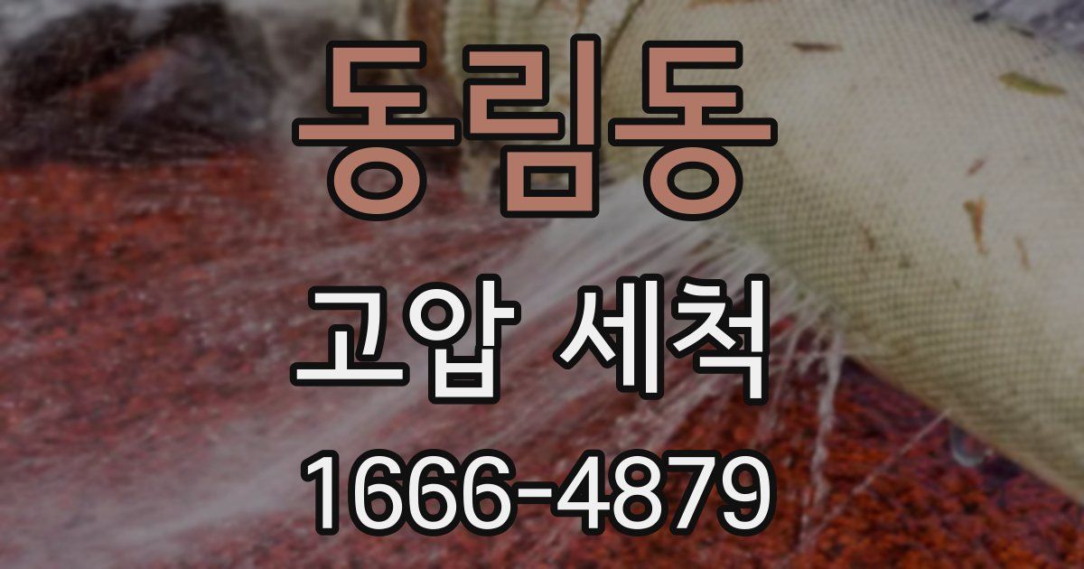 동림동 고압 세척