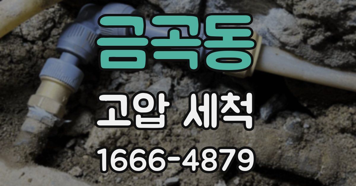 금곡동 고압 세척