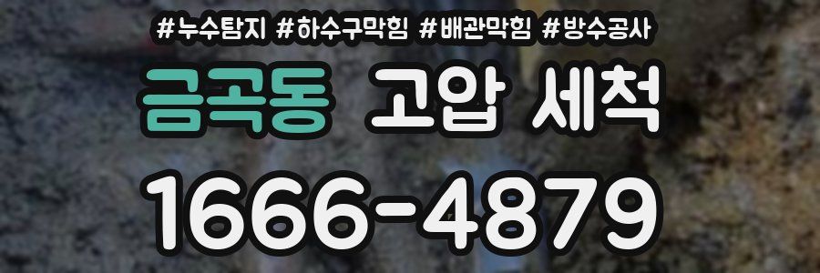 금곡동 고압 세척