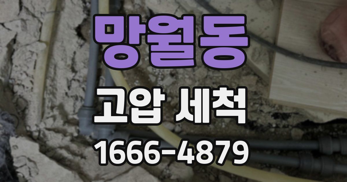 망월동 고압 세척
