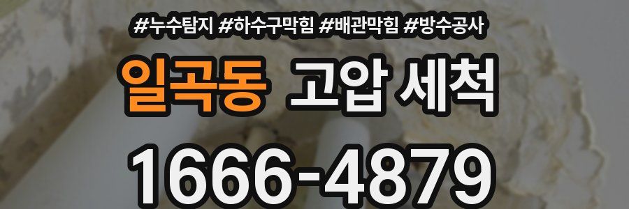 일곡동 고압 세척