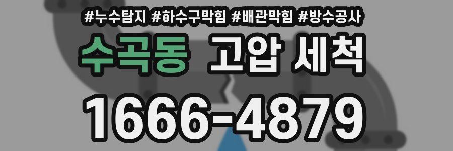 수곡동 고압 세척