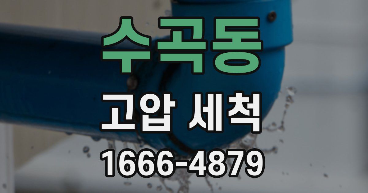 수곡동 고압 세척