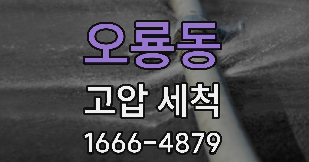 오룡동 고압 세척