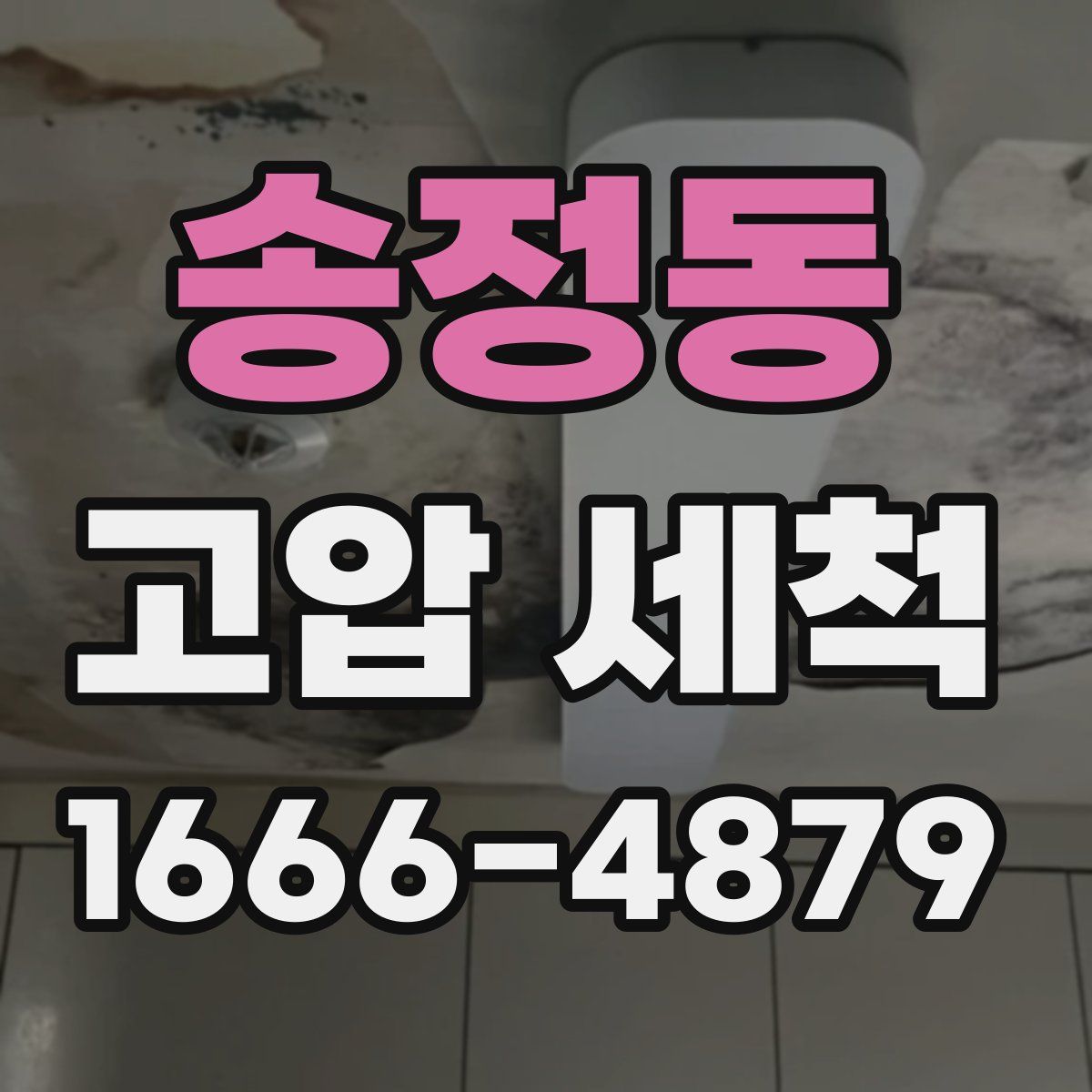 송정동 고압 세척