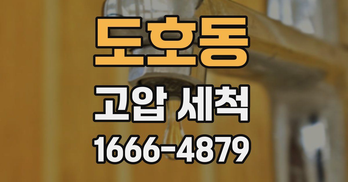 도호동 고압 세척