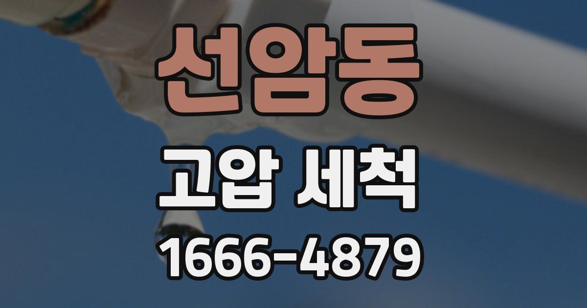 선암동 고압 세척