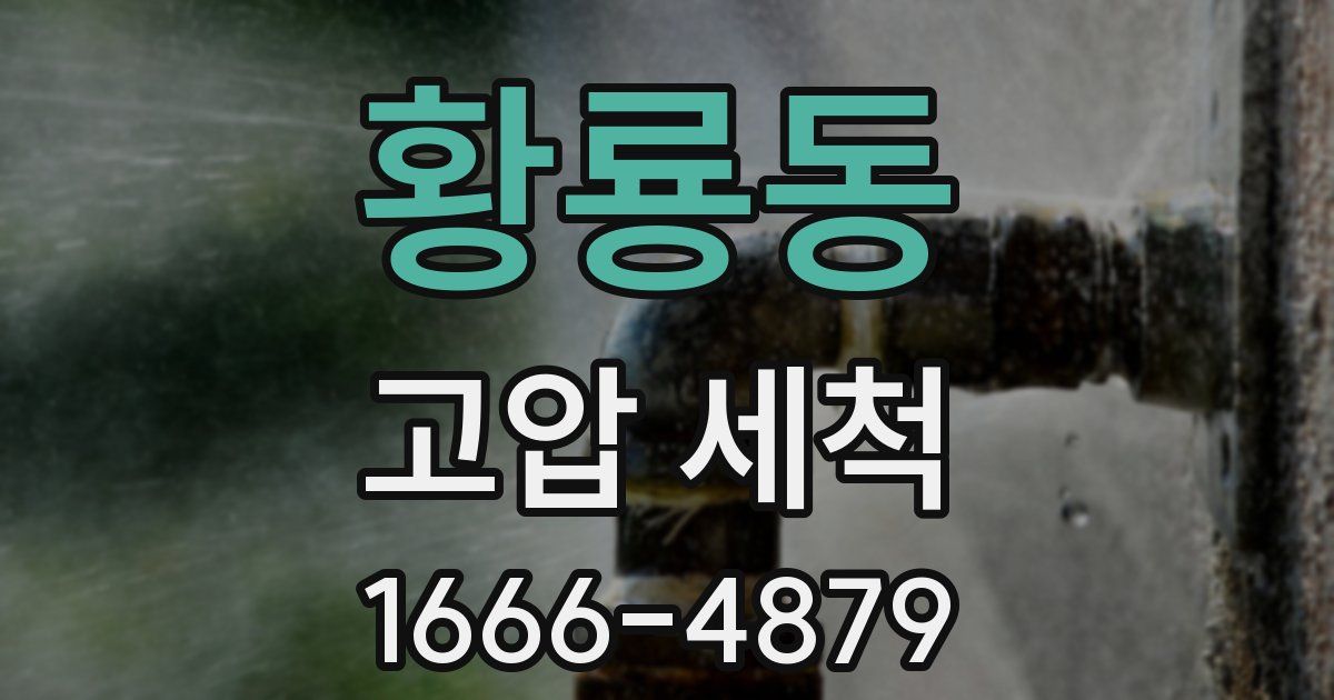 황룡동 고압 세척