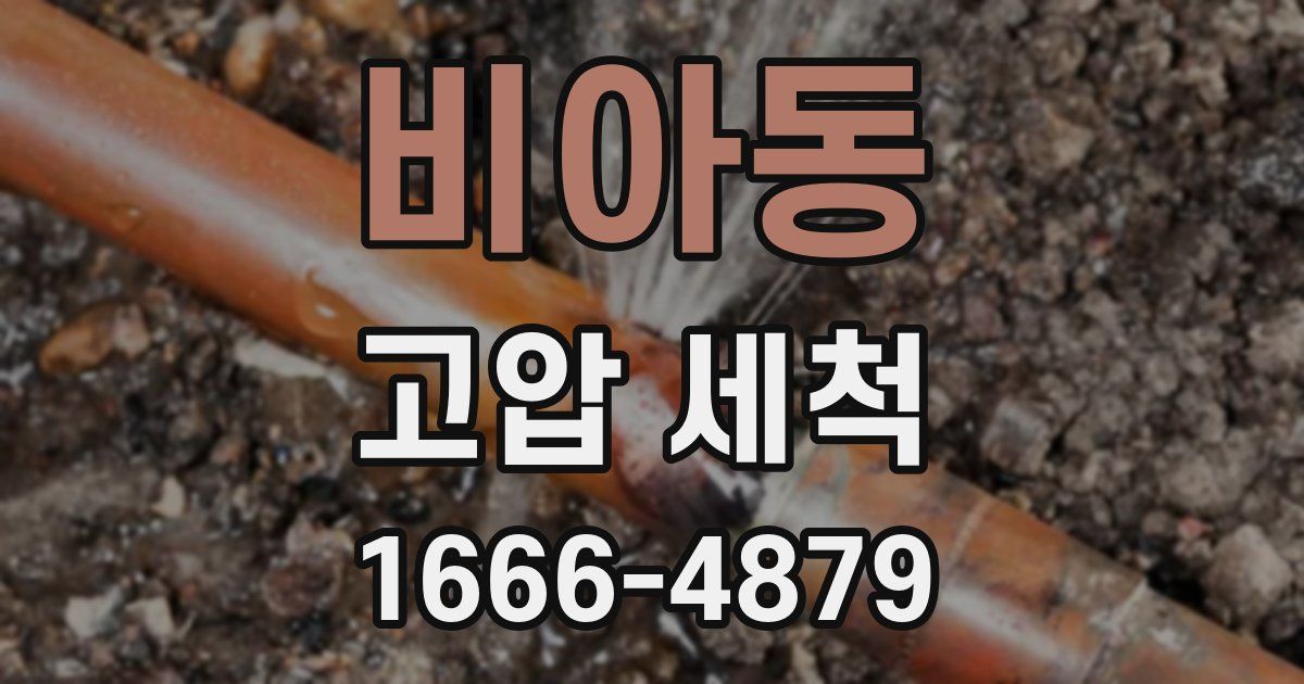 비아동 고압 세척