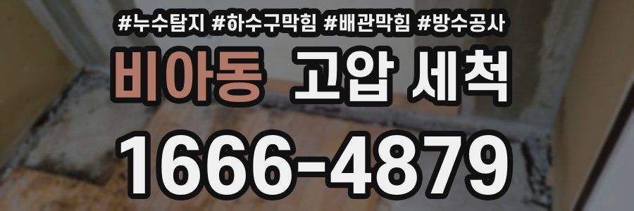 비아동 고압 세척